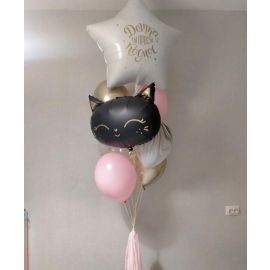 Связка Звёздная кошечка