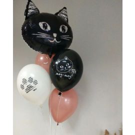 Связка с кошечкой