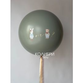 Шар на определение пола